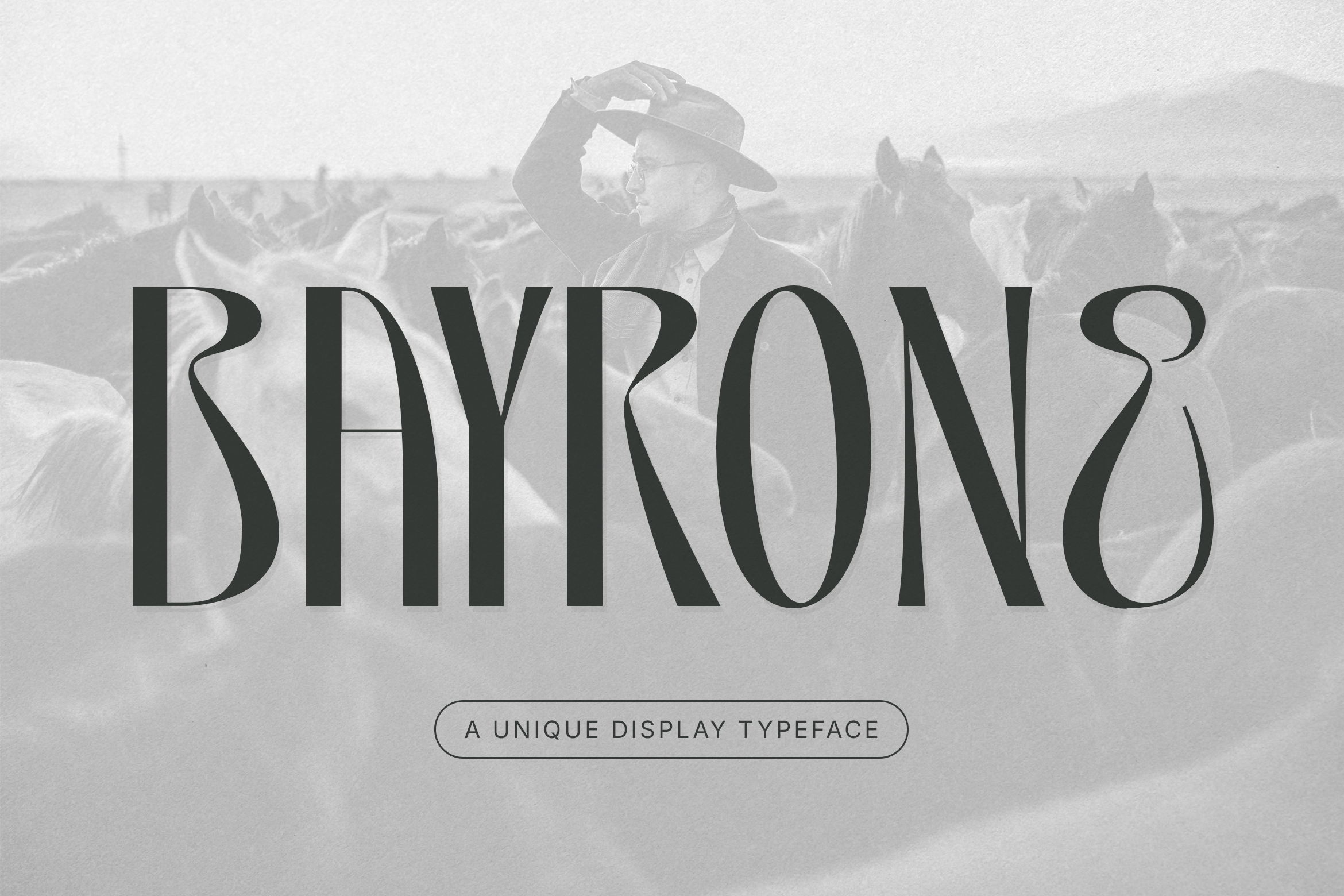 Bayrone Bayrone Display | Typefactory.co